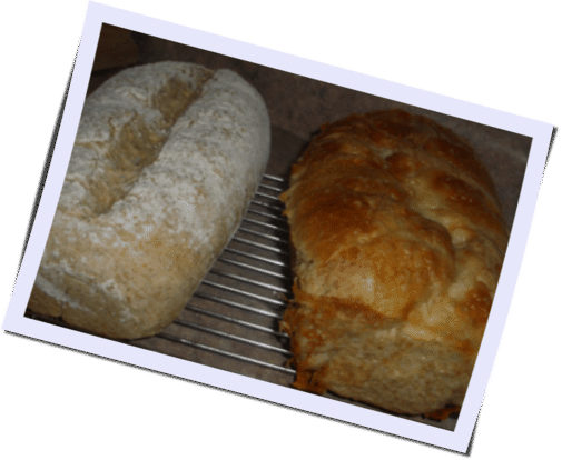 100% Whole wheat bread
